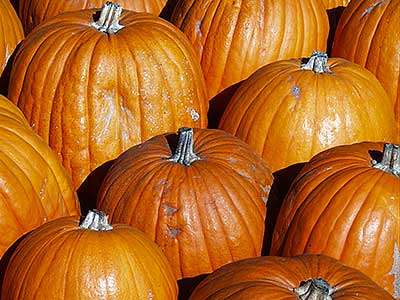 Pumpkins